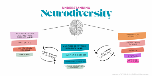 Understanding Neurodiversity